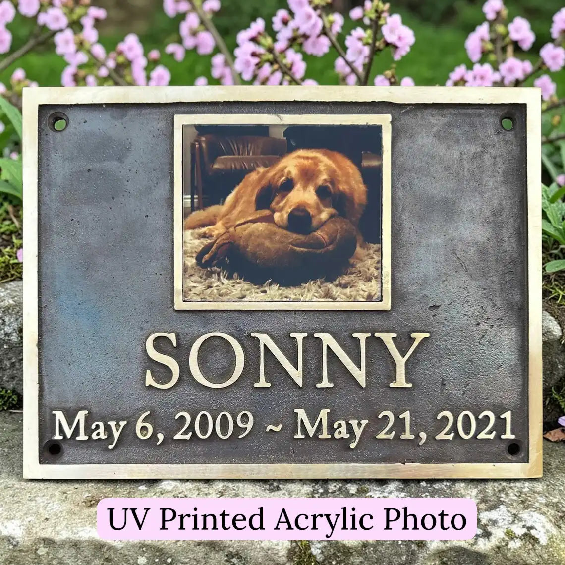 Memorial plaque with a photo of a dog named Sonny and his lifespan, set against a natural background.