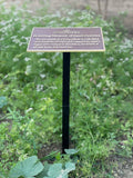 Metal Stand with Memorial plaque in a garden with text on it
