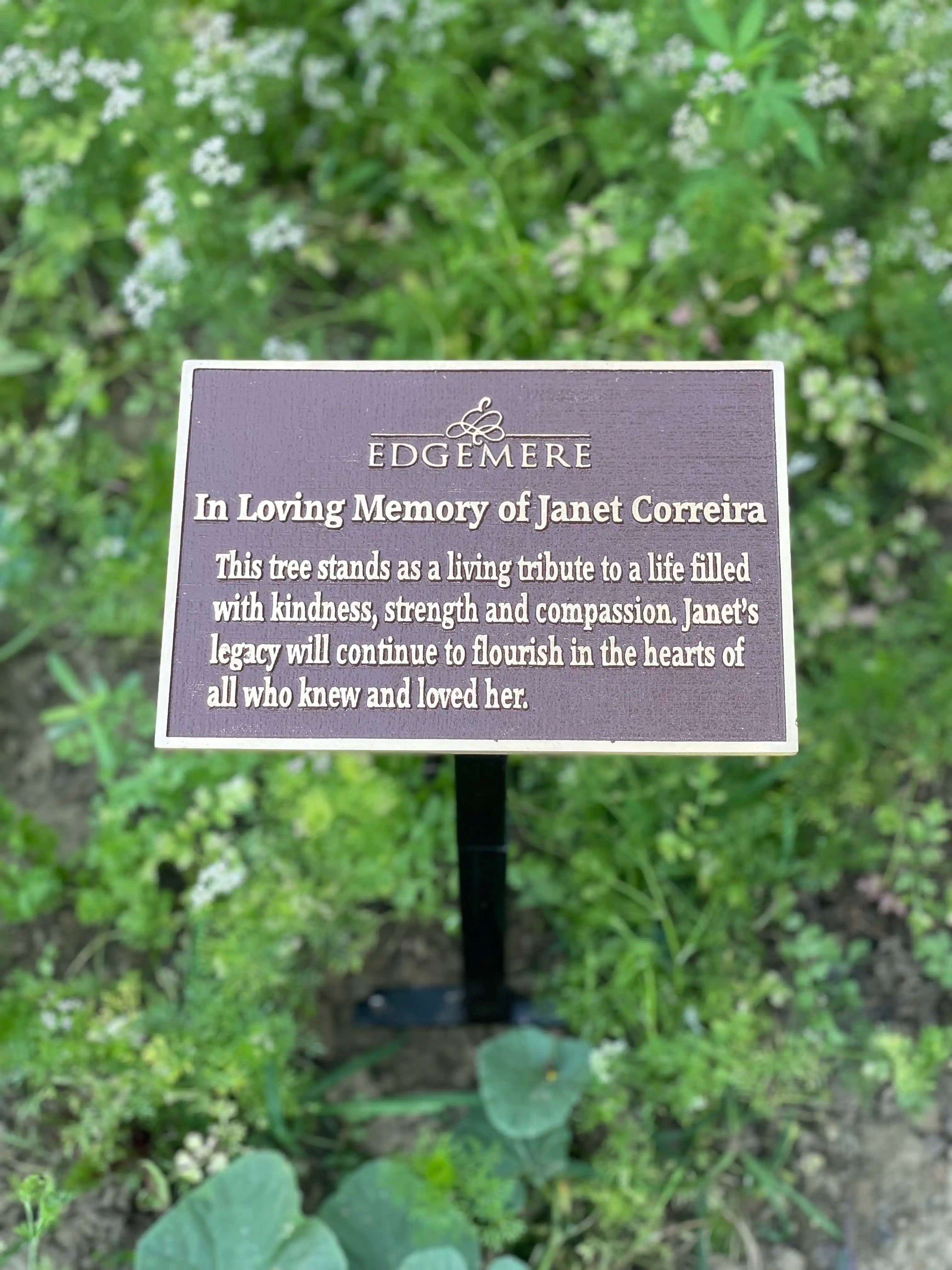 Memorial plaque for Janet Correia in a garden setting