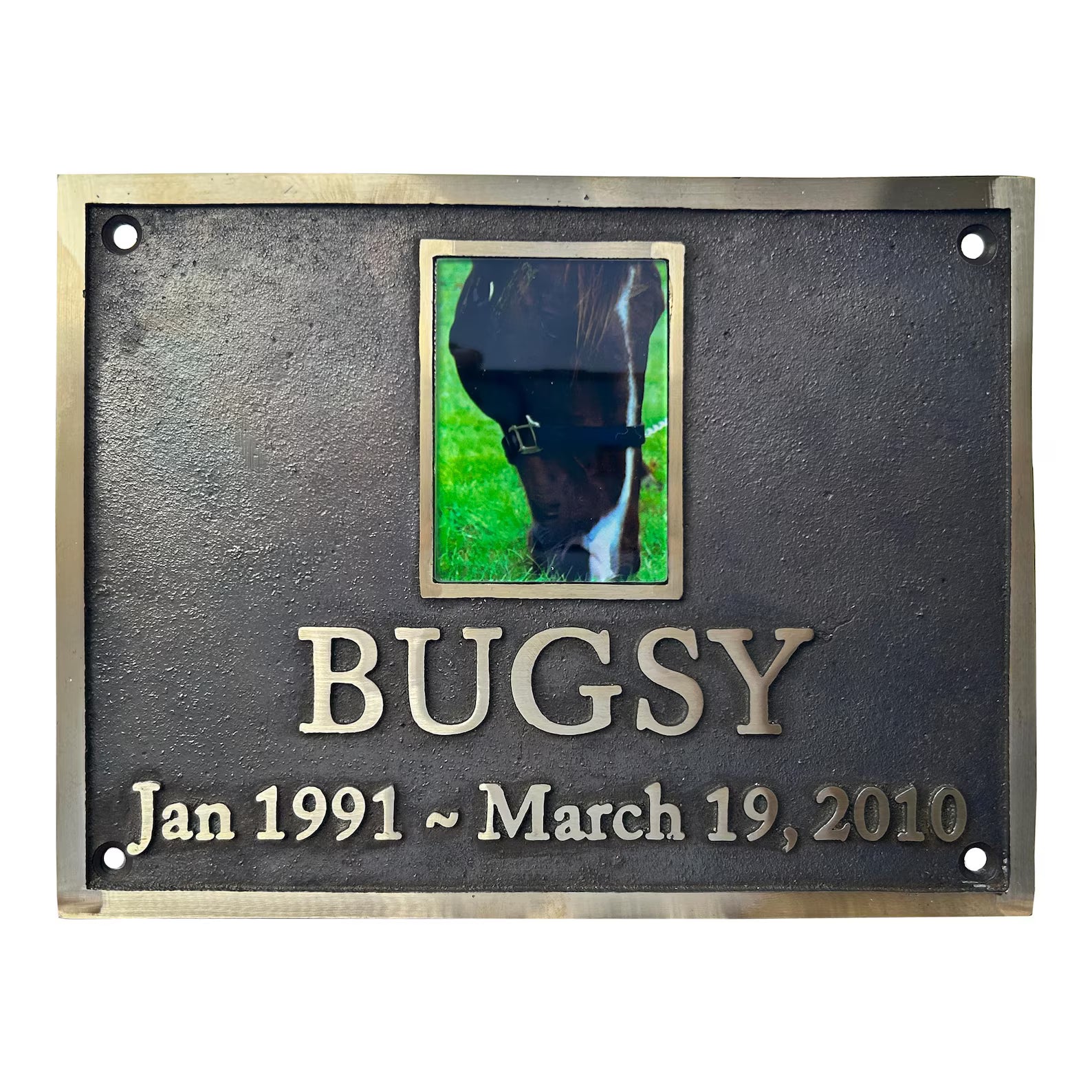 Memorial plaque for a horse named Bugsy with a photo and dates on a dark background