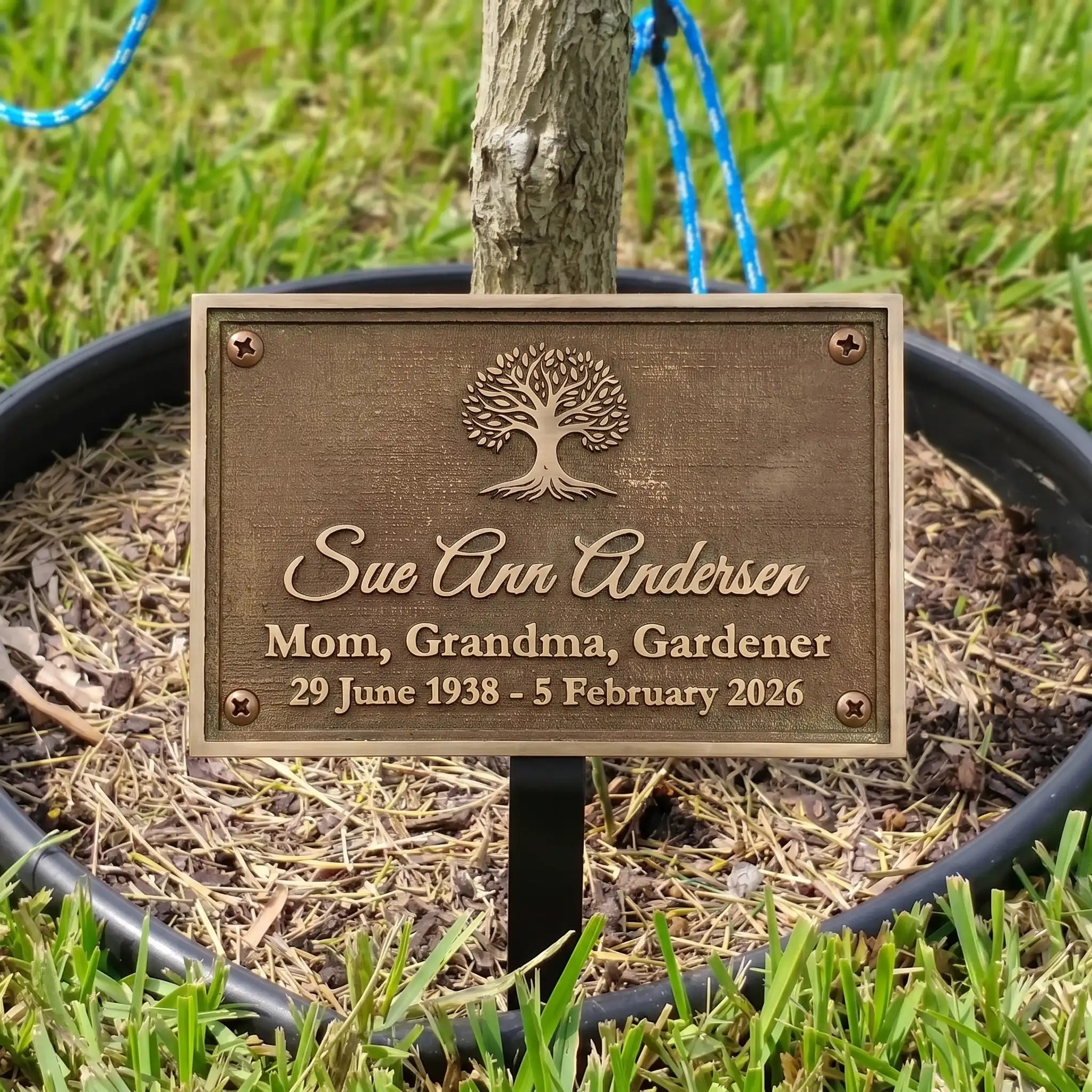 Bronze plaque with engraved text in a garden setting