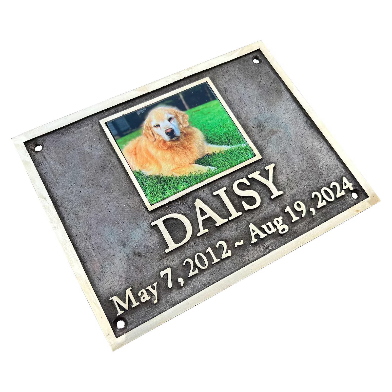 Memorial plaque for a dog named Daisy with a photo and dates on a white background