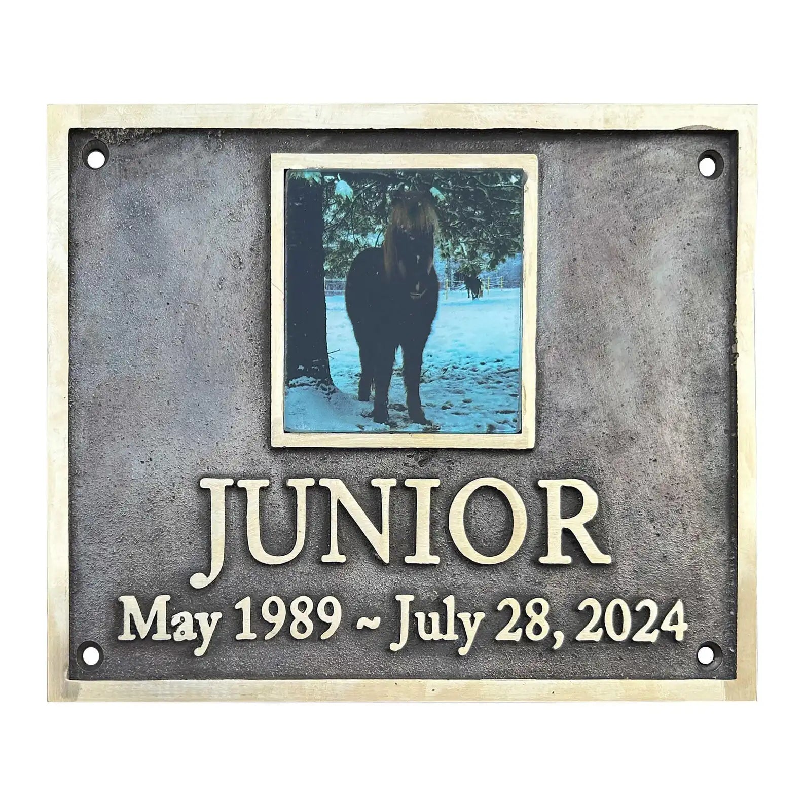 Memorial plaque for a horse named Junior with a photo and dates on a metal background