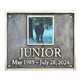 Memorial plaque for a horse named Junior with a photo and dates on a metal background