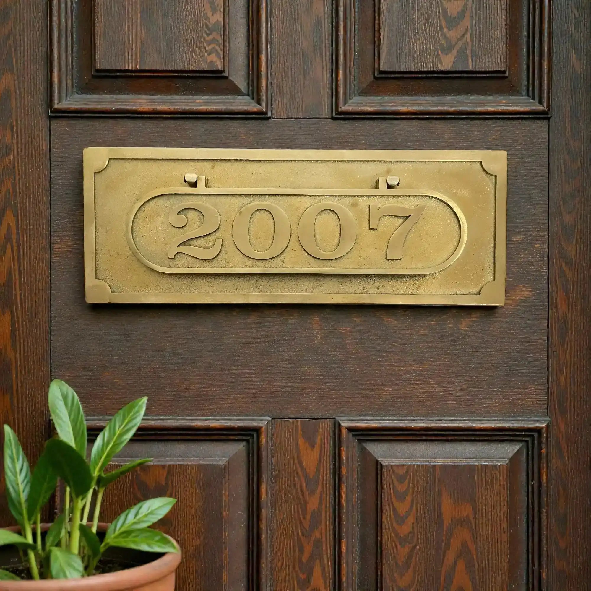 Brass mail slot with house number '2007' on a wooden door with a potted plant.