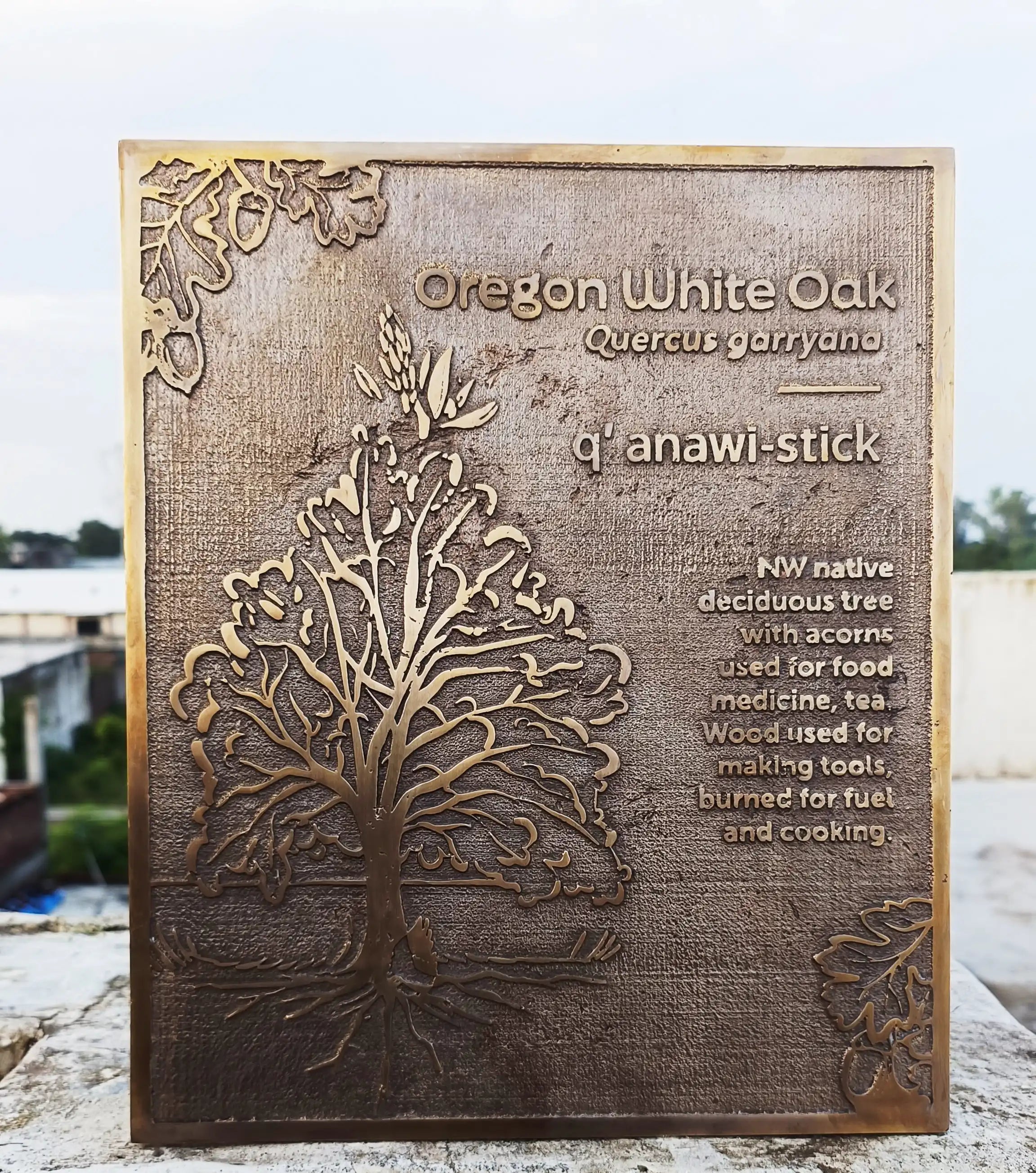 Personalized Memorial plaques - bronze custom plaque