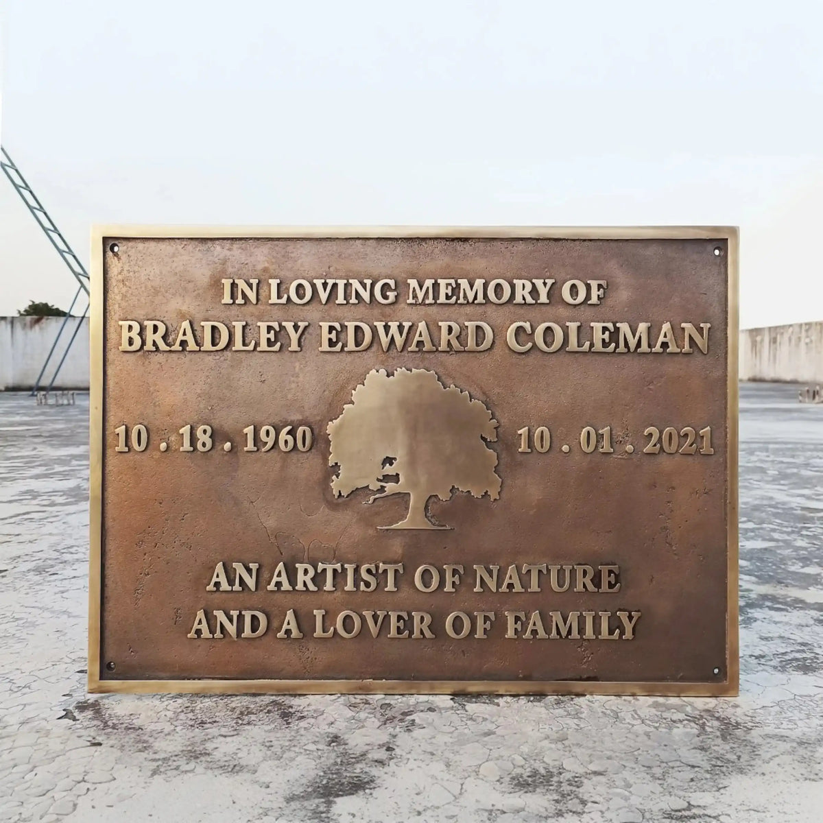 Bronze plaque commemorating Bradley Edward Coleman with his birth and death dates, and a brief description.